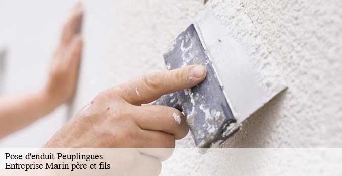 Pose d'enduit peuplingues-62231 Entreprise Marin père et fils